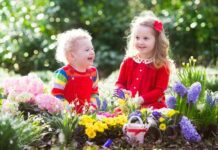 “Earth in Common”: шлях від масового руху до авторитетної екоорганізації