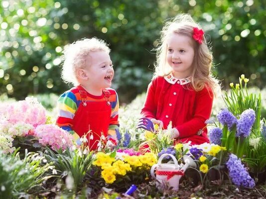 “Earth in Common”: путь от массового движения до авторитетной эко-организации