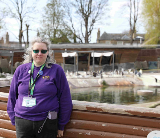 Історія жінки, яка прийшла до зооволонтерства через подолання серйозних проблем