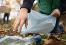 Edinburgh’s Environmental Conscience: Initiatives and Local Action