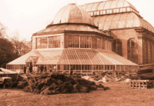 The Glasshouses of the Royal Botanic Garden Edinburgh: Guardians of Rare Plant Species