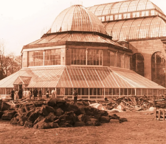 The Glasshouses of the Royal Botanic Garden Edinburgh: Guardians of Rare Plant Species