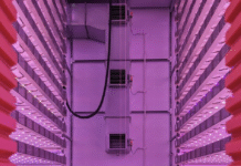 Intelligent Growth Solutions — інноваційний розробник промислових вертикальних ферм