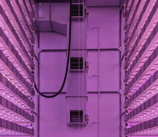 Intelligent Growth Solutions: An Innovative Developer of Industrial Vertical Farms