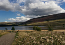 Threipmuir Reservoir між дамбами та пагорбами