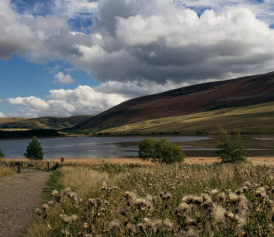 Threipmuir Reservoir: Between the Dams and the Hills