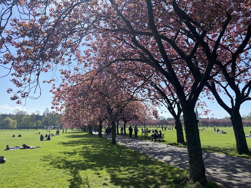 East Meadows Play Park