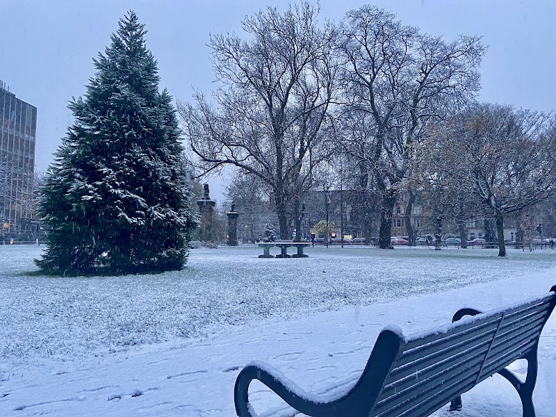 East Meadows Play Park
