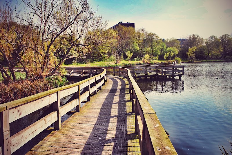 Figgate Park
