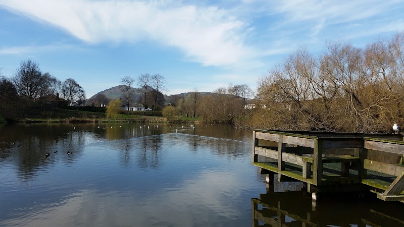 Figgate Park