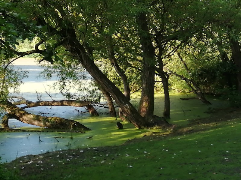 Figgate Park