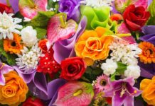 Garlands Florist