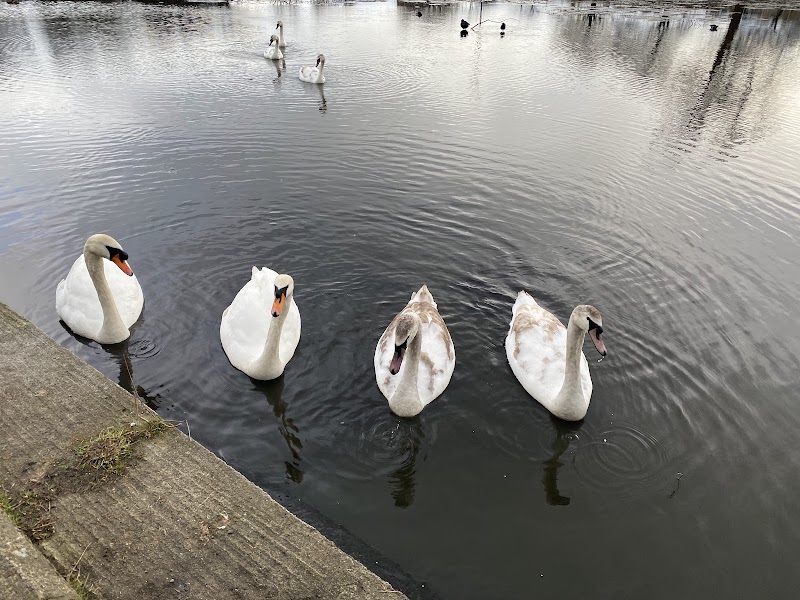 Inverleith Park