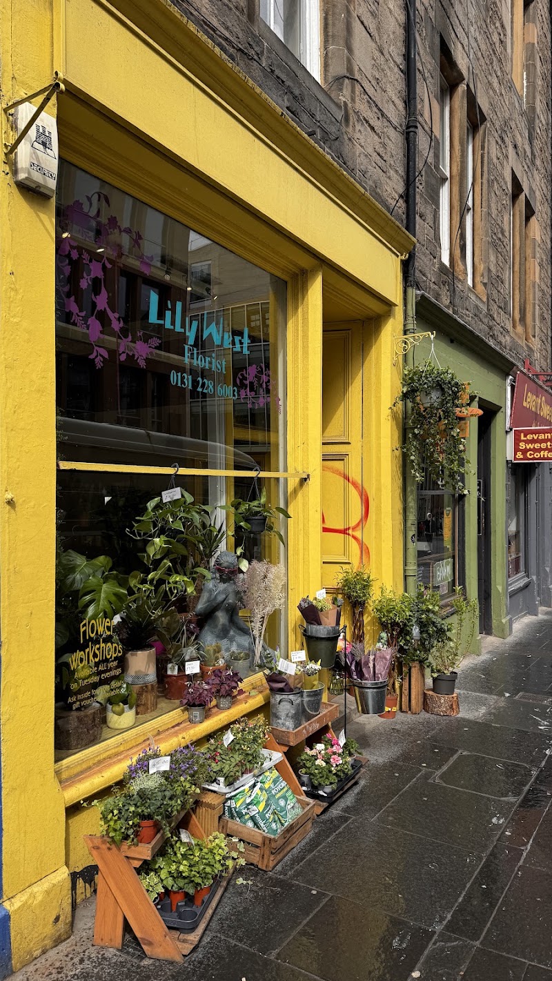 Lily West Florist