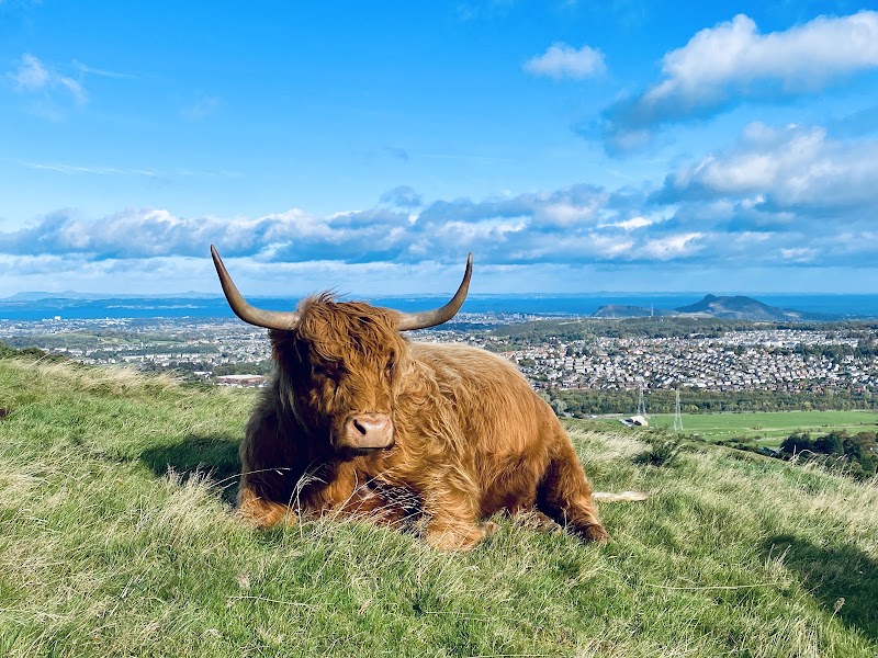 Pentland Hills Regional Park