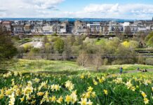 Princes Street Gardens