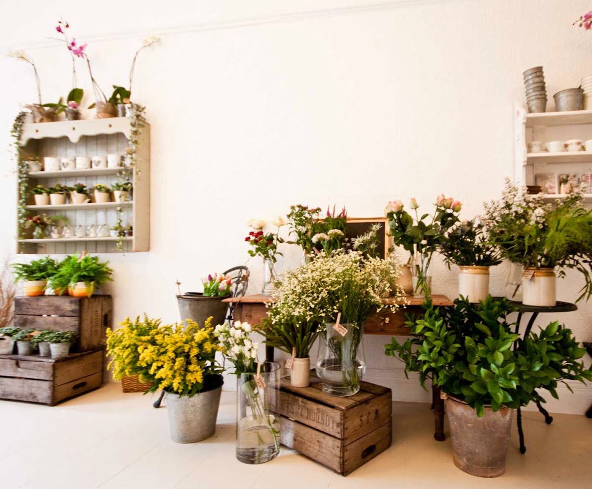 Rose & Ammi Flowers — Florist