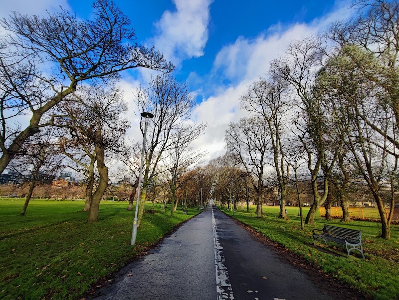 The Meadows